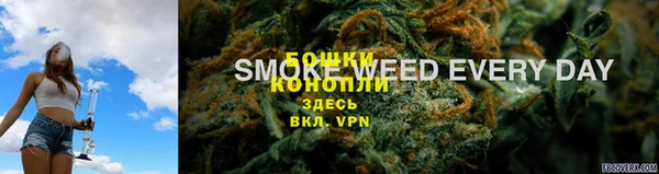 сатива Балабаново
