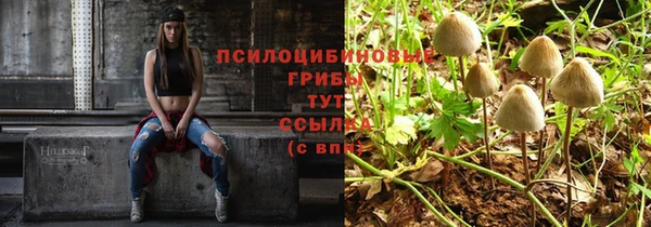 сатива Балабаново