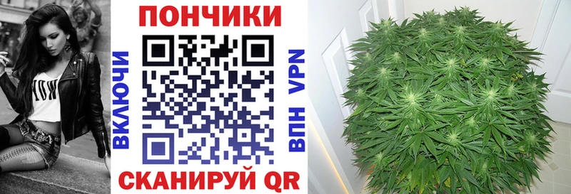 Конопля VHQ  хочу   даркнет какой сайт  Шуя 